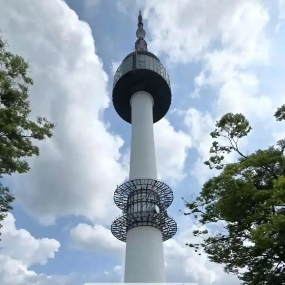 Palm Tree Villa Myeong-Dong 301 首爾 韩国