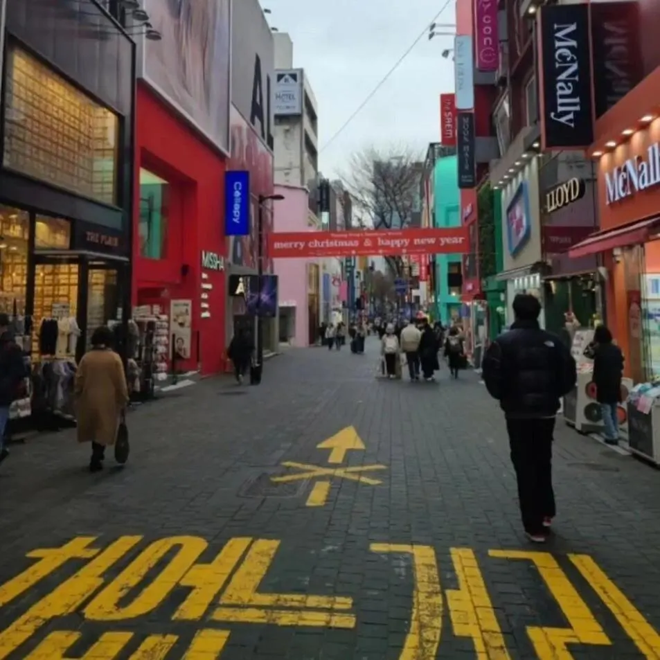 公寓 Palm Tree Villa Myeong-Dong 301 首爾