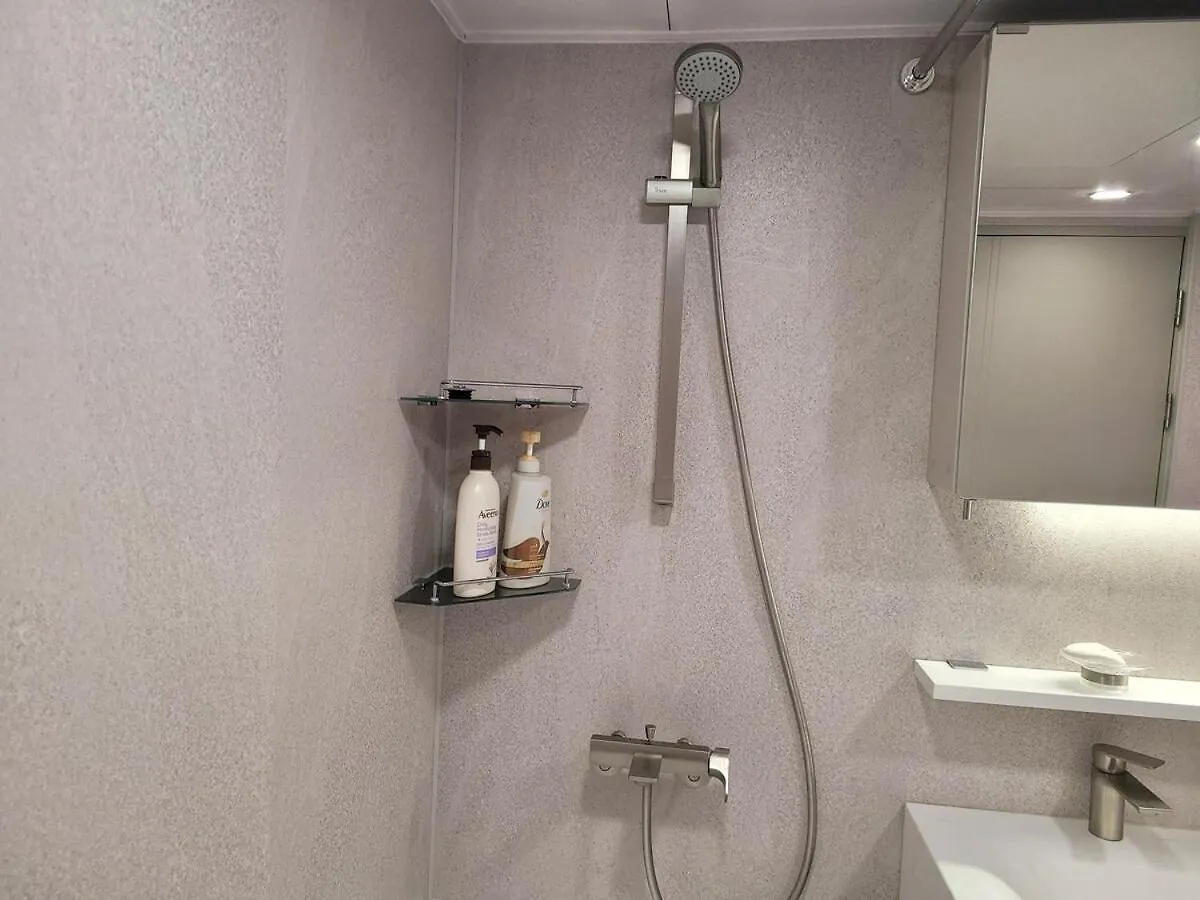 公寓 Palm Tree Villa Myeong-Dong 301 首爾