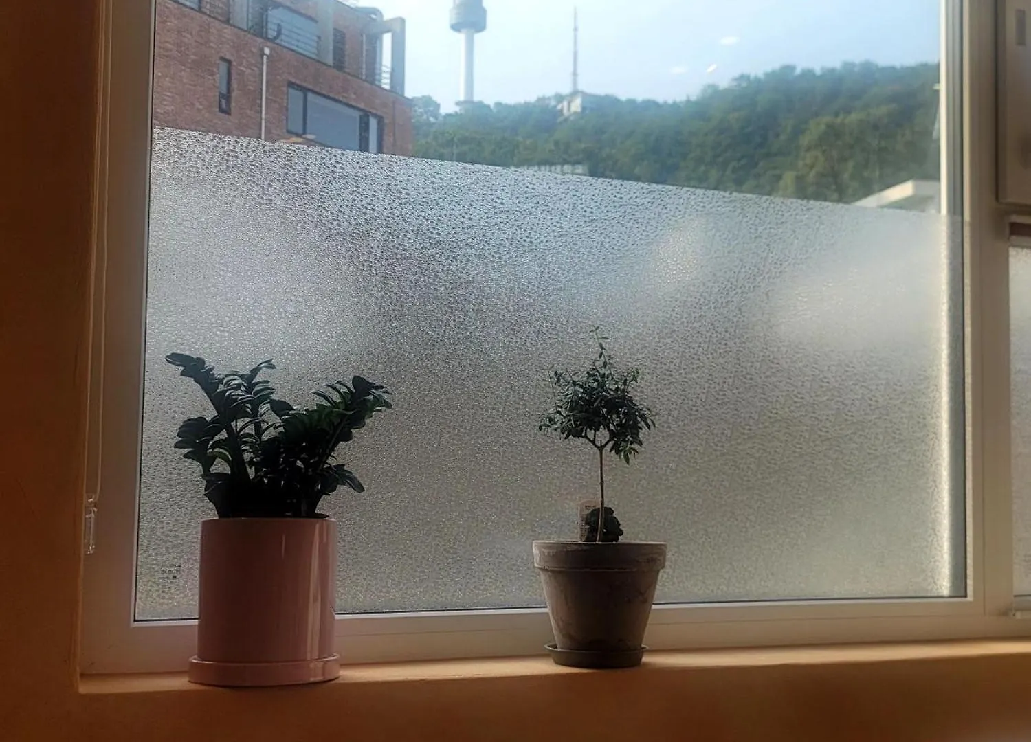 Palm Tree Villa Myeong-Dong 301 سيول 0*,  كوريا الجنوبية